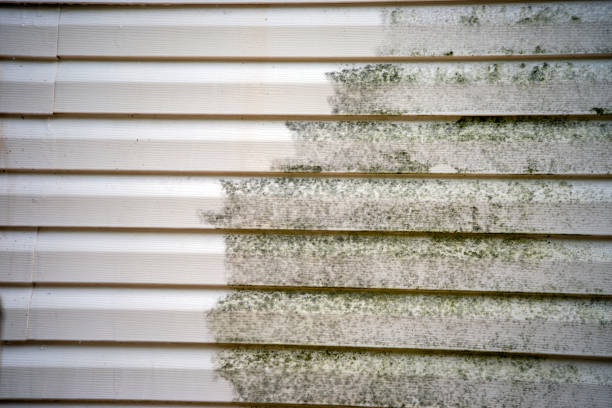 Best Residential Vinyl Siding Installation  in Columbia, MS